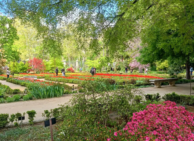 Real Jardín Botánico, Spain